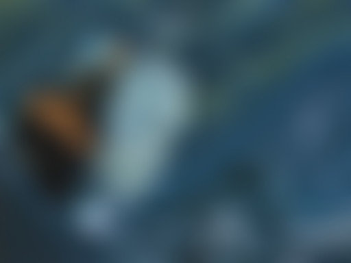 La Bouquinerie prend la mer