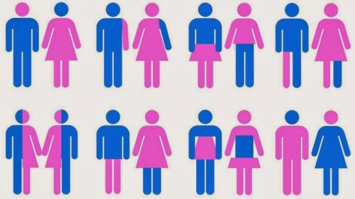 Épisode LPCX : Les Petits Cailloux font Genre de l'émission Les Petits Cailloux