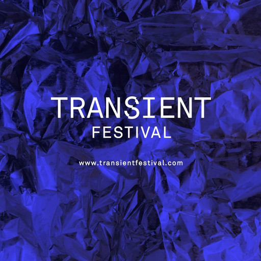 Épisode Amplitudes : Spéciale Transient Festival 2016 - Li... de l'émission Amplitudes