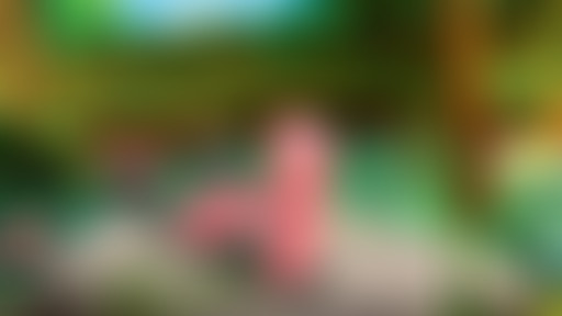 Prenez-en de la graine – Faire du compostage