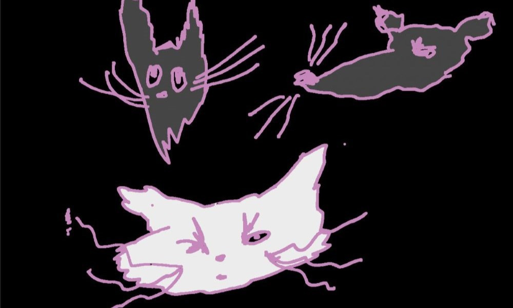 Photo du groupe sur leur bandcamp - DR La Rat - "Rodent Scavenger"