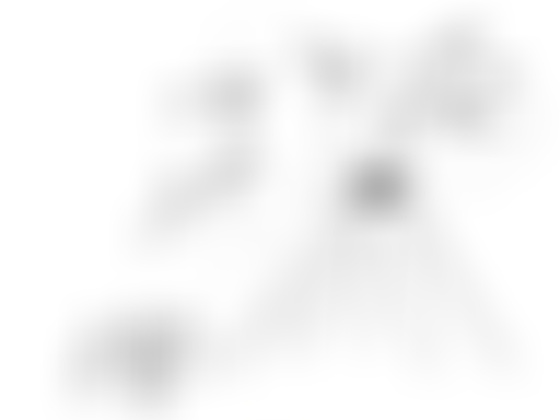 ORNC : Pompéi (2014)