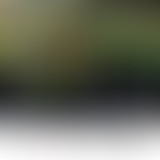 La demi-heure : Les gilets jaunes nous font chier...