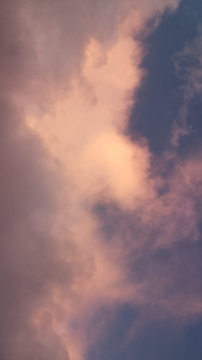 Épisode Voix enchantées épisode 15 - Pauline de l'émission Voix enchantées