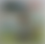 Bam Salute special John Holt