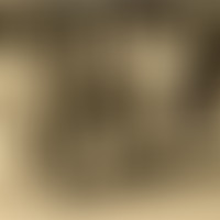 Best Of Noël 1/2 Bandes de filles ! dimanche 28 dé...