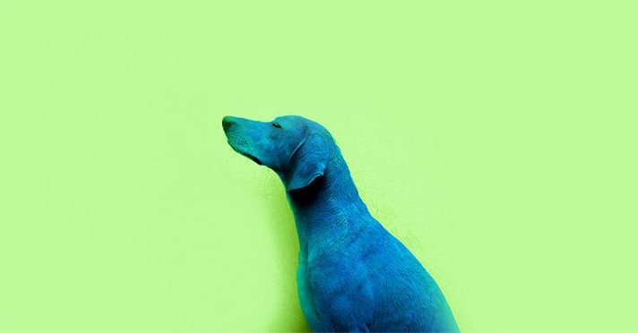 Épisode Novorama / spéciale compilation 2016 (1ère partie) de l'émission Novorama