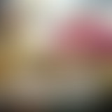 Tropical Club plage #27