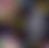 Bam Salute special Sonia Pottinger / Gregory Isaac...