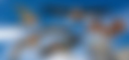 #28 On réensauvage ta vi(ll)e !