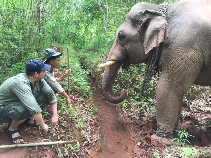 Épisode InSitu#6 - Chez les éleveurs d'éléphants d'Asie de l'émission In Situ