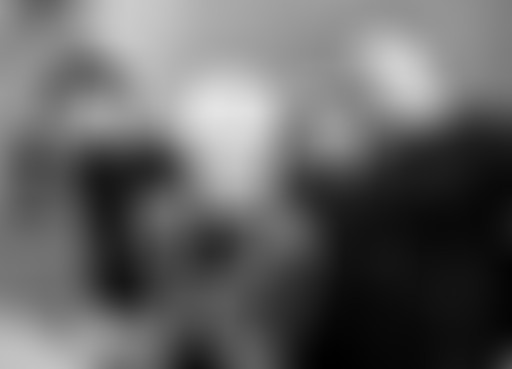 The Punkrock Chaud : Sum 41