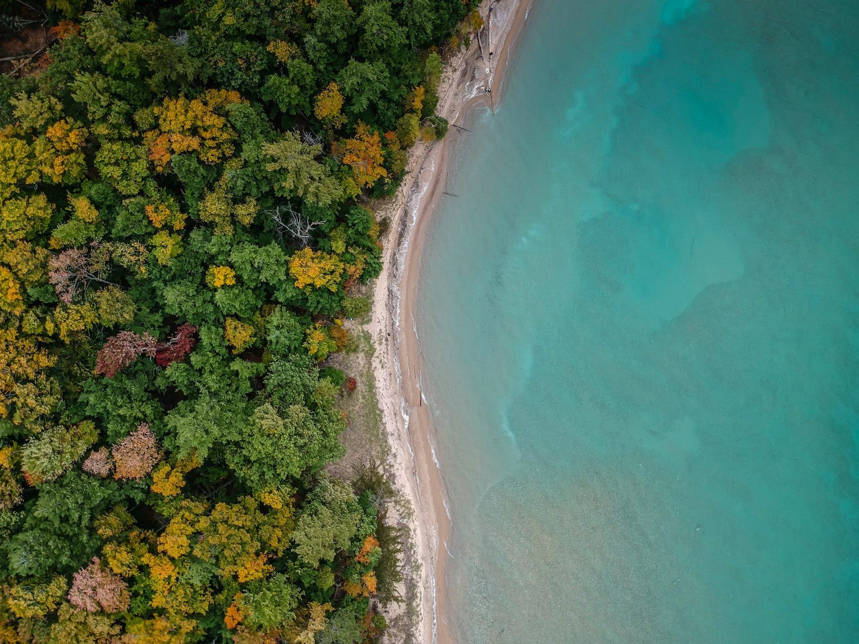 © Nick Perez via Unsplash Protéger le vivant pour mieux cohabiter la Terre