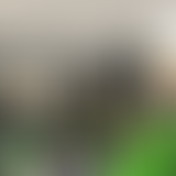 Mercredi ! Le Hockey, un sport extraordinaire