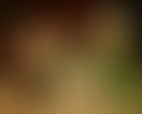 Scène Ouverte // Faim de Musique // 19.12.2022