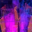 Red Fog • Melting Wax On Neon Tubes