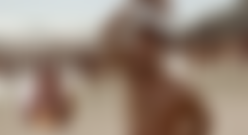 Chablis Hebdo // Axe Poire-Chocolat