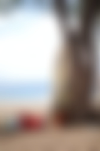 Vers l'intégral été # 1