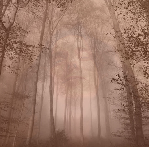 Épisode Johnkôôl : Eat Gas - Musique Pour Les Arbres de l'émission Johnkôôl Records