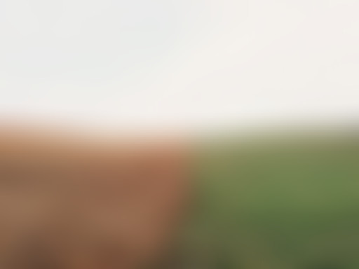 LPQR / Les inégalités avant l'Histoire