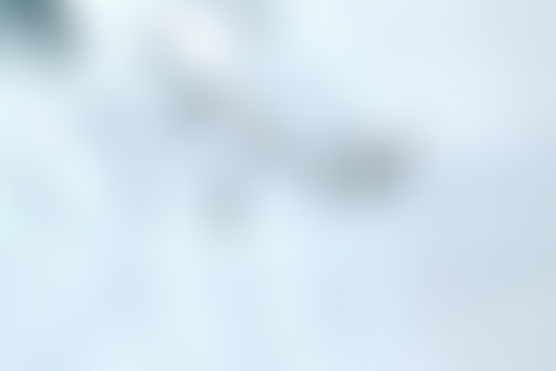 Planisphère : 36 – Folk