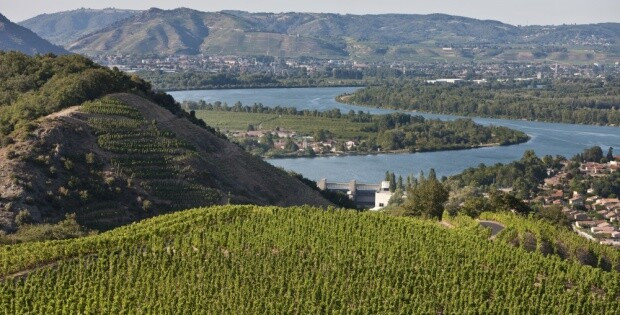 Épisode LCSLT : Une plongée dans le Rhône Nord de l'émission L'Apéro