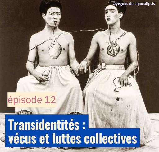 Transidentités : vécus et luttes collectives