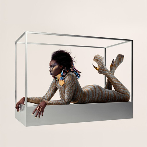 Épisode Tout Foutre On Air reçoit Rocky! de l'émission Tout Foutre On Air