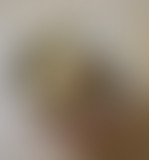 Alimentaire Mon Cher Watson : Le Miso