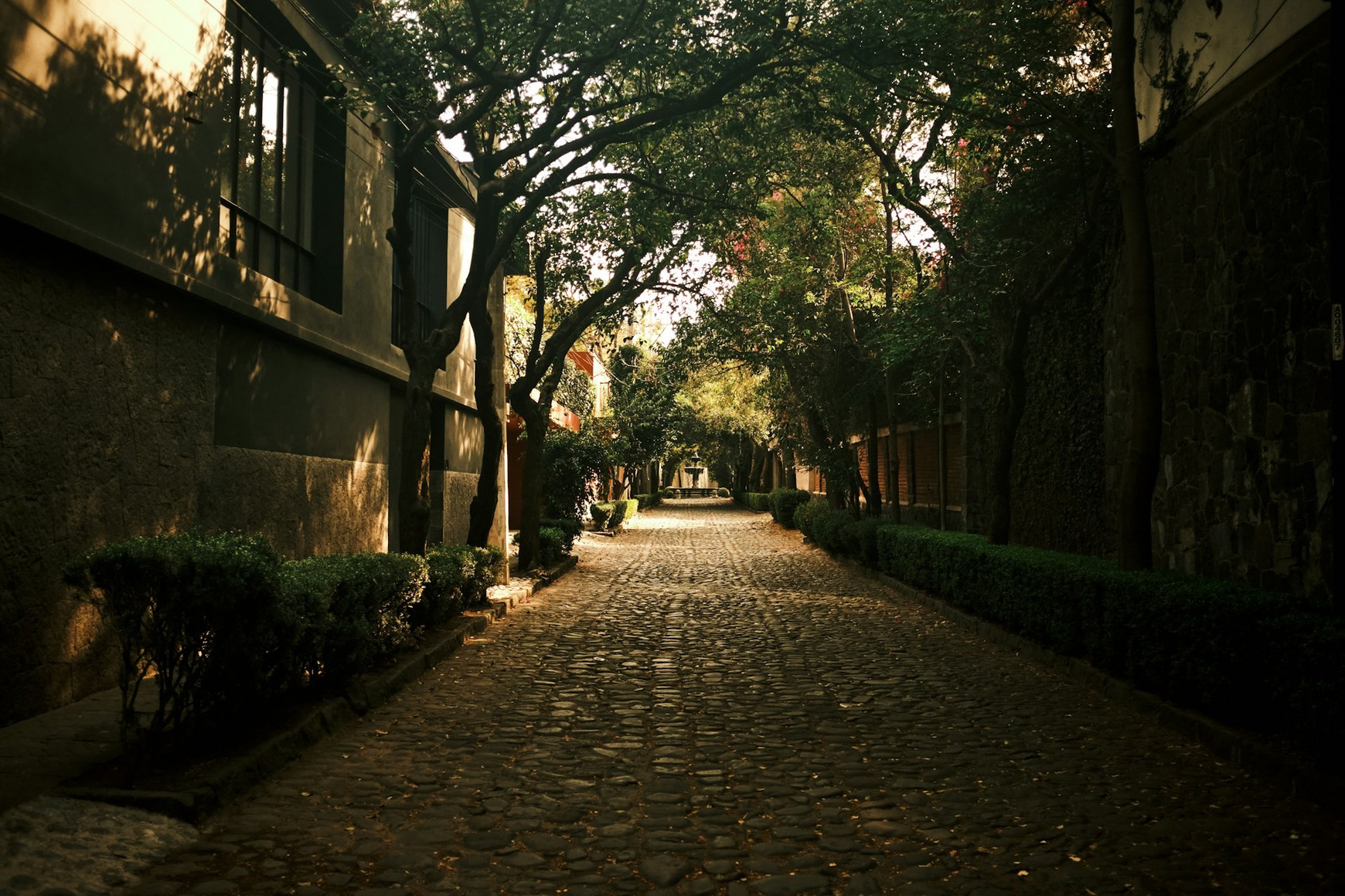 Photo de Niels Lyhne sur Unsplash Voyage à Mexico