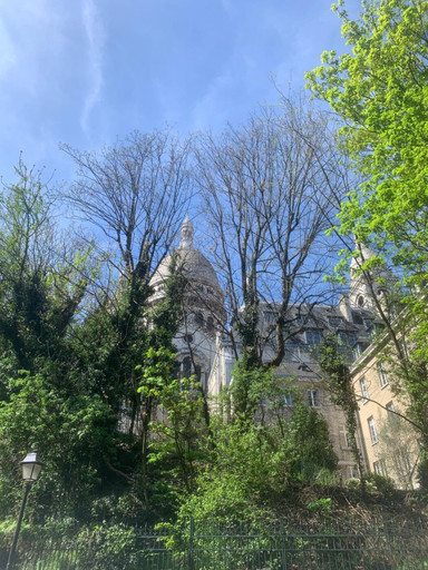 Épisode Voix enchantées épisode 49 - Adrien de l'émission Voix enchantées