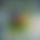 La Ligue Des Albums Incompris / FRONT 242 (Ep.11)