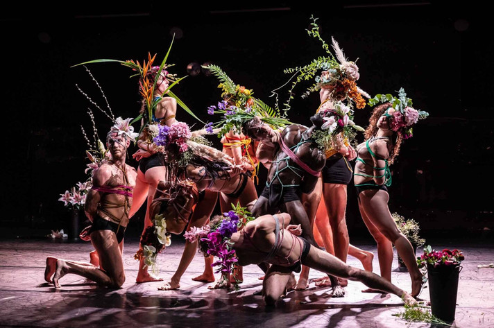 Épisode Sine Qua Non Art : établir des passerelles de l'émission Répertoires