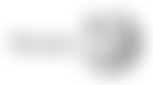 [NumerX] décrypte Wikipedia //14 11 19