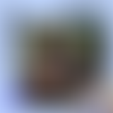 Clara Le Meur : STRN Radio