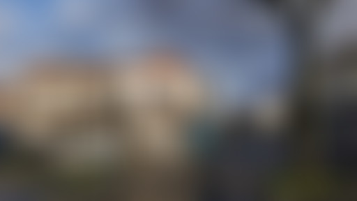 Paris extramuros : un village en petite couronne