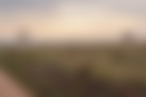 La Matinale de 19h // Forages pétroliers en Ougand...