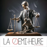La demi-heure // La justice // Vincent Brengarth