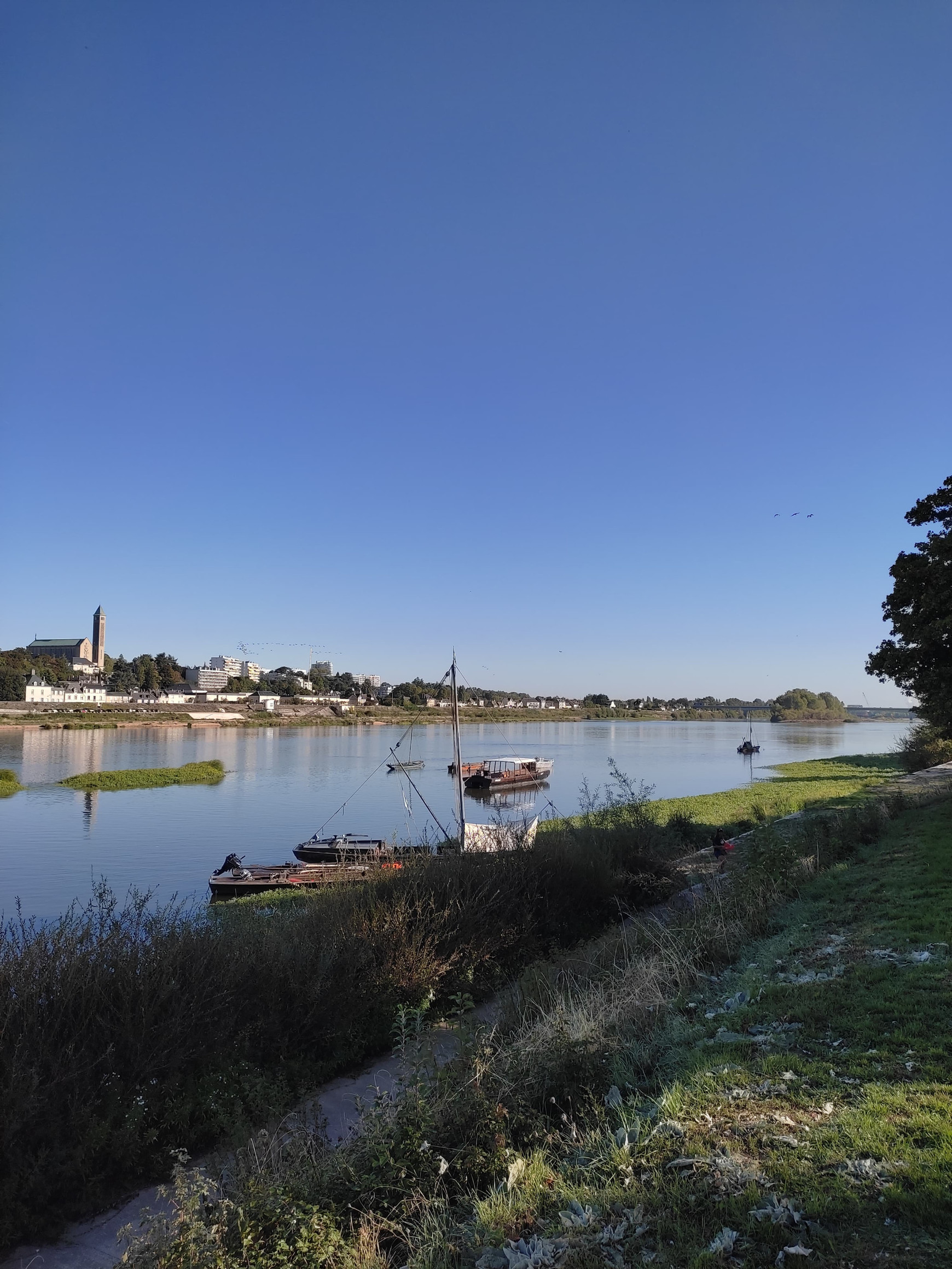 La Loire vue depuis Blois - Brice Andlauer Reconnaître des droits à la nature 1/2 - L'Europe vue d'ici #135