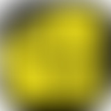 Proxima estacion invite Le Tamanoir