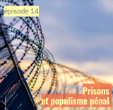 Prisons et populisme pénal