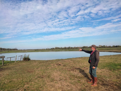 Natura 2000 : les marais de Montferrand, où la biodiversité prospère