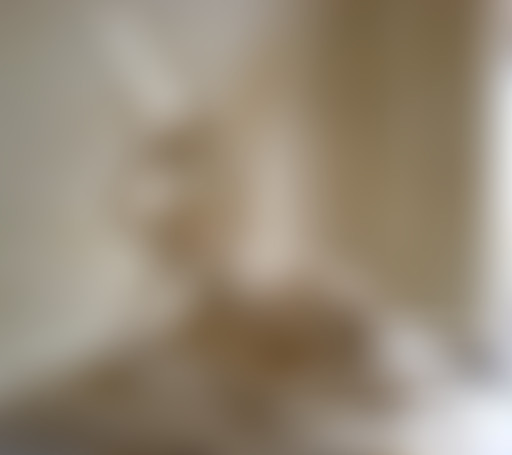 Antik Actus / Saint-Valentin