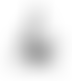 ORNC : La guerre du feu