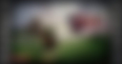 RétroZone : Zelda Ocarina of Time