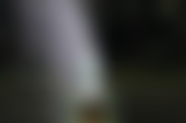 Les Belles Dames de la création