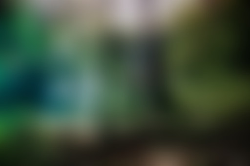 Les lectures de la Bouquinerie