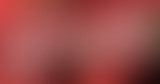 24.06 - La cour de Création  // 20 ans