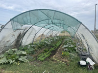 Cussac-Fort-Médoc désignée meilleure ville biologique d'Europe