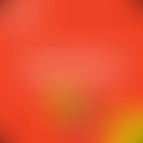 Le timbre du plectre sur la corde, avec Jérôme Cle...